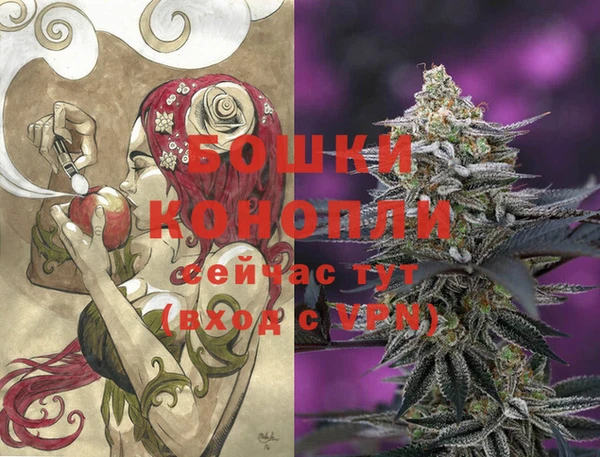 ГАЛЛЮЦИНОГЕННЫЕ ГРИБЫ Покров