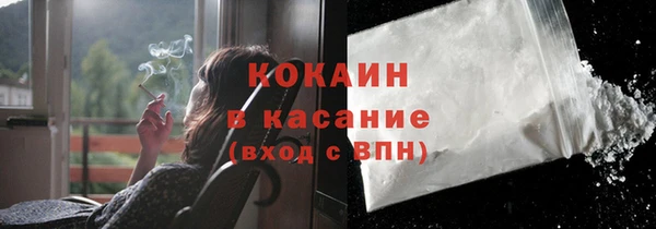 мяу мяу мука Покачи
