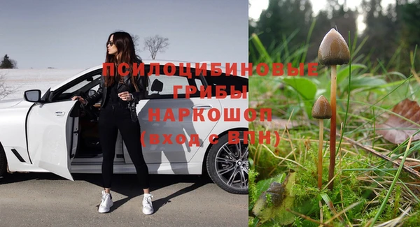 ГАЛЛЮЦИНОГЕННЫЕ ГРИБЫ Покров