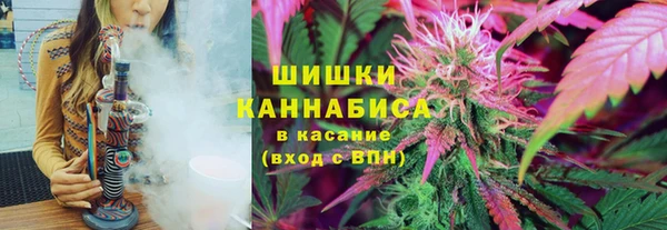 ГАЛЛЮЦИНОГЕННЫЕ ГРИБЫ Покров