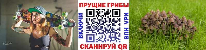Псилоцибиновые грибы GOLDEN TEACHER  Каневская 